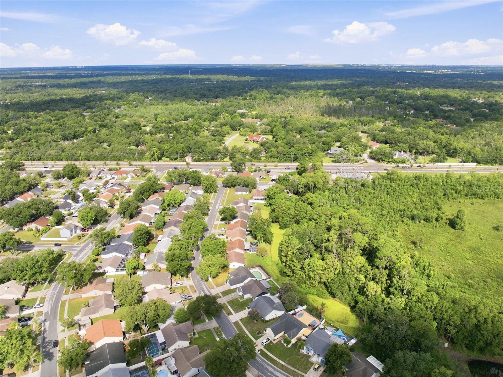 1014 Hardwood Drive Valrico FL 33596 TB8526886 image46