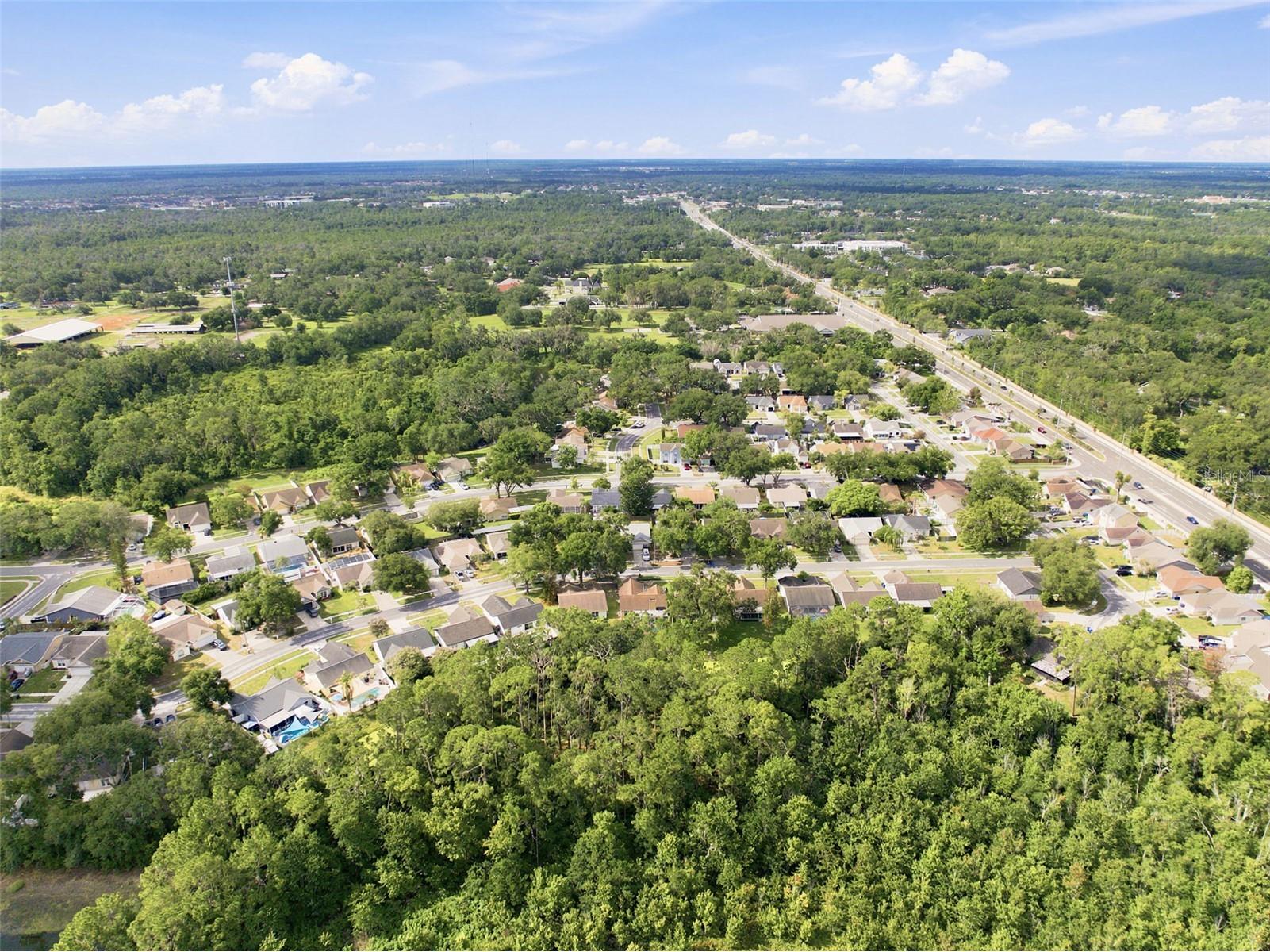 1014 Hardwood Drive Valrico FL 33596 TB8526886 image47