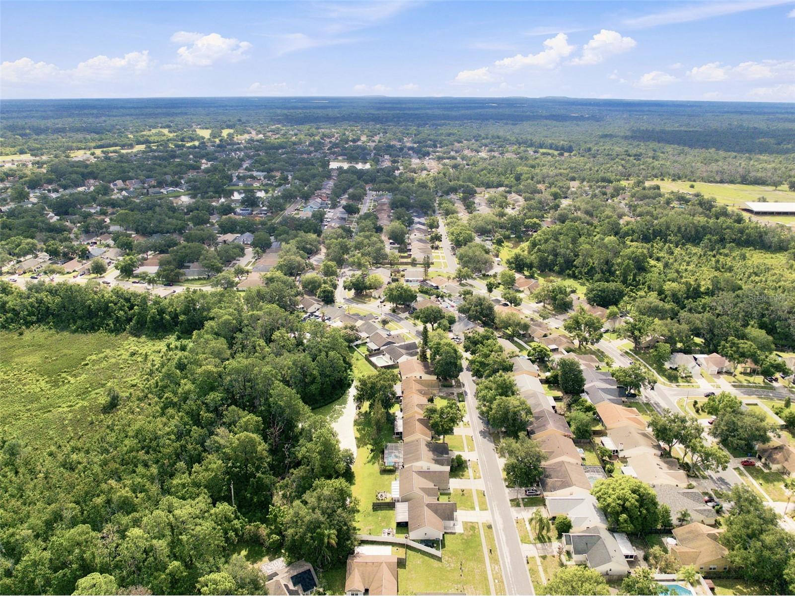 1014 Hardwood Drive Valrico FL 33596 TB8526886 image48
