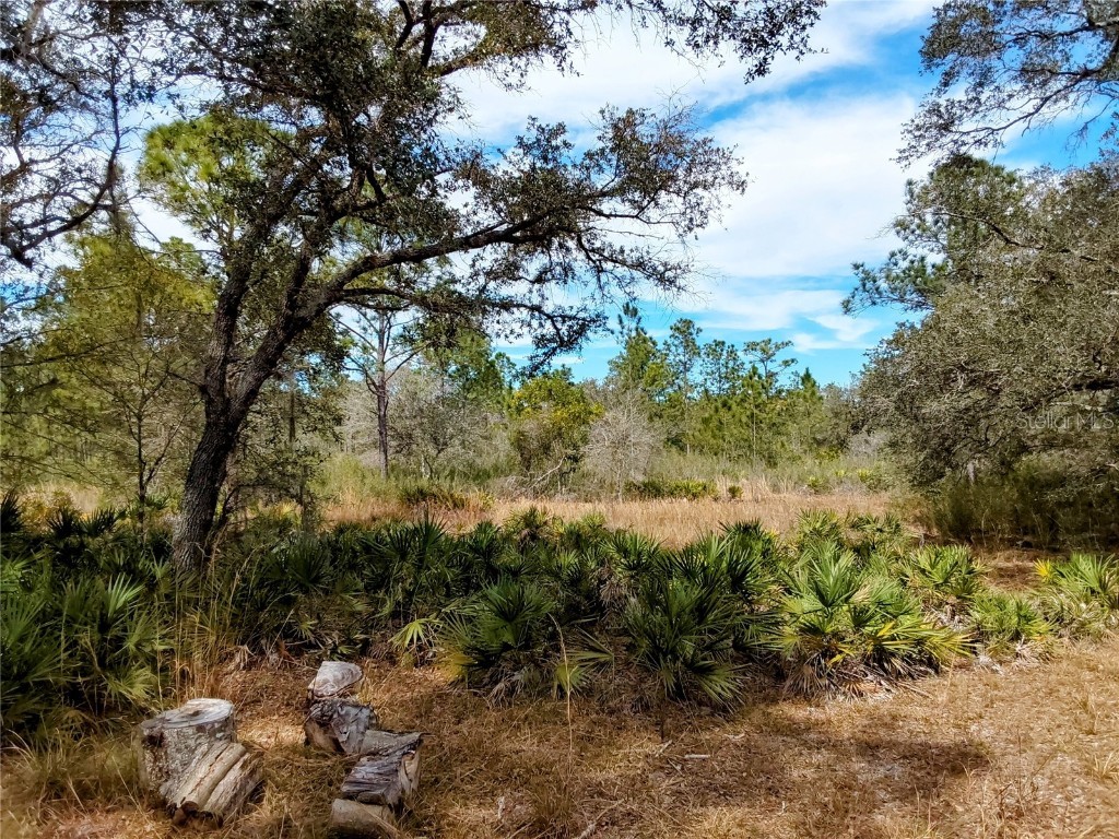 1014 Japonica Drive Indian Lake Estates FL 33855 - LAKE WEOHYAKAPKA P4929227 image1