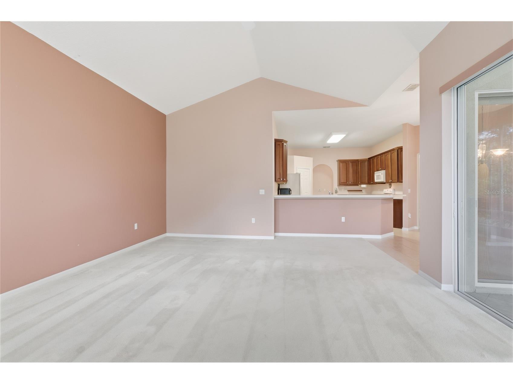 1014 Marjorie Rawlings Drive Deland FL 32720 V4948352 image16