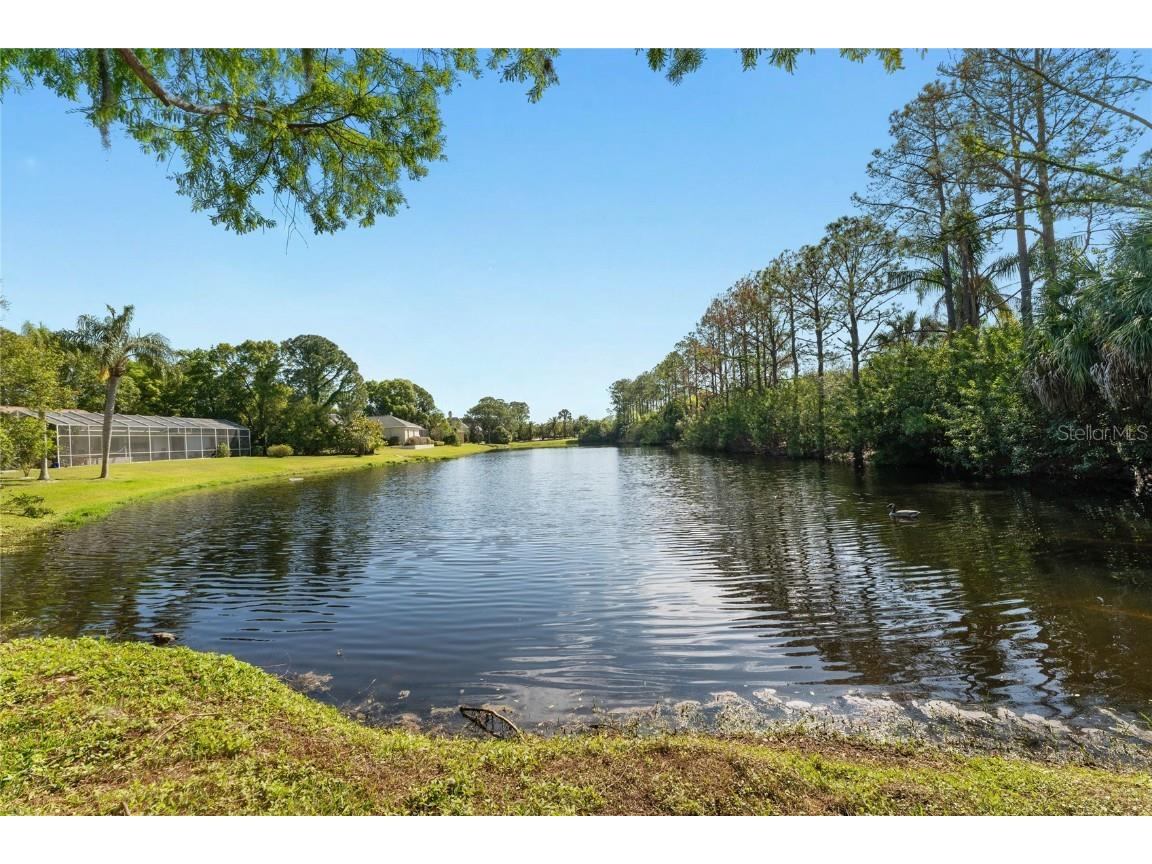 1014 N Jasmine Avenue Tarpon Springs FL 34689 T3513704 image15