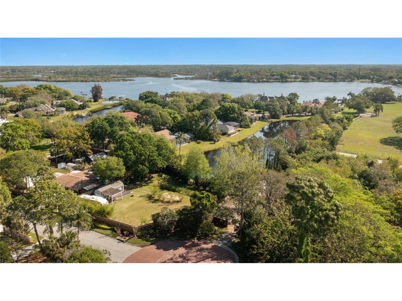 1014 N Jasmine Avenue Tarpon Springs FL 34689 T3513704 image26