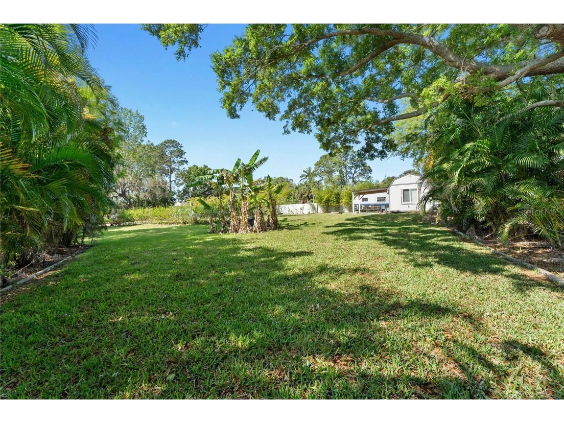 1014 N Jasmine Avenue Tarpon Springs FL 34689 T3513704 image4