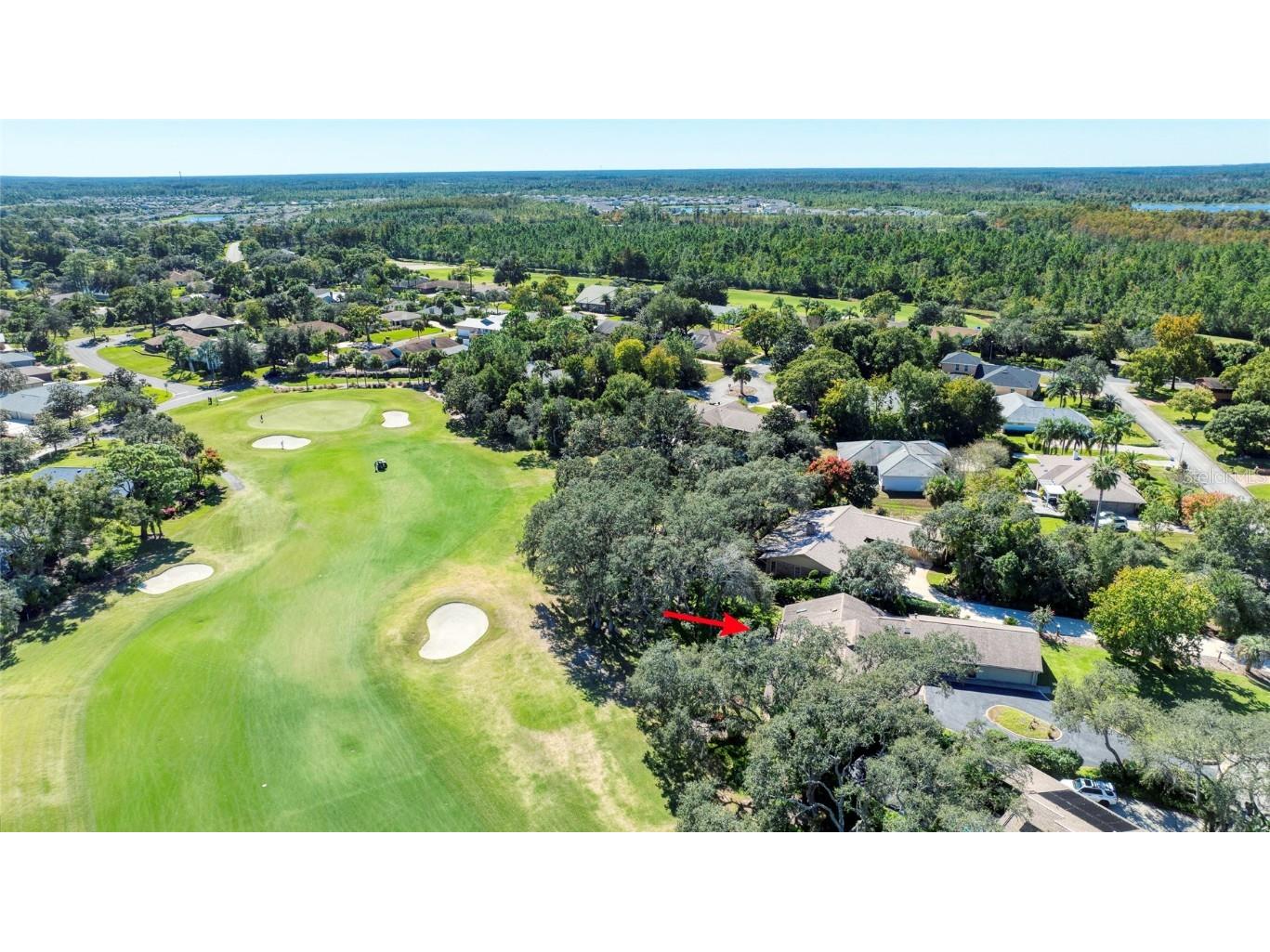 1014 Stagger Bush Place New Smyrna Beach FL 32168 V4945692 image2