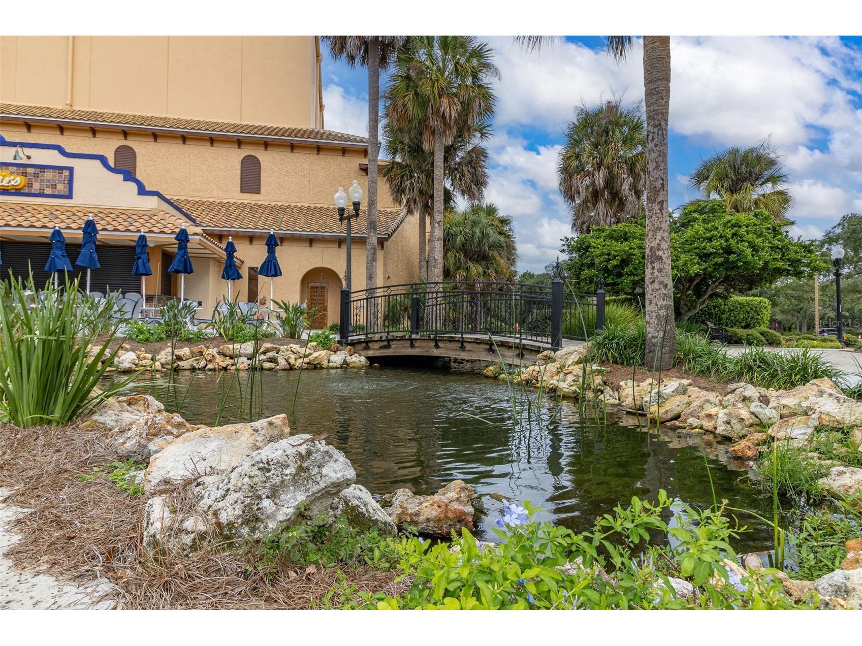 1014 Swamp Chestnut Loop Lady Lake FL 32159 S5141256 image31