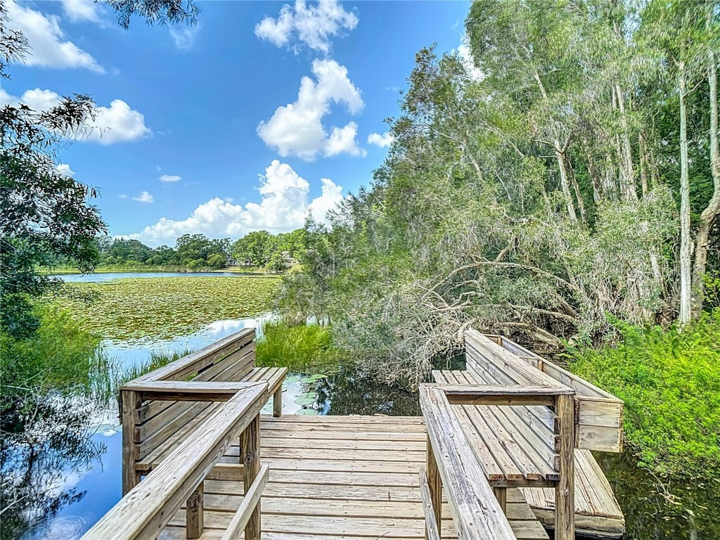 1014 Sylvia Lane Tampa FL 33613 TB8389479 image52