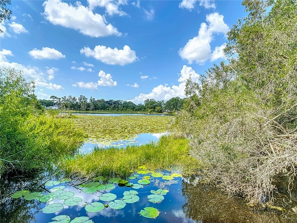 1014 Sylvia Lane Tampa FL 33613 TB8389479 image53