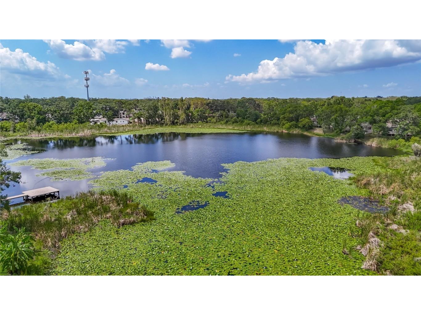 1014 Sylvia Lane Tampa FL 33613 TB8389479 image61