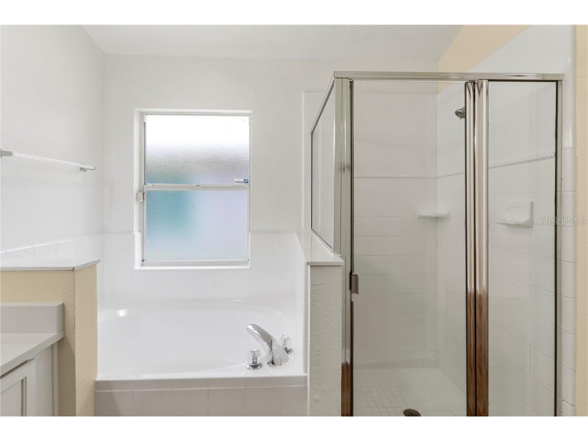 10140 Somersby Drive Riverview FL 33578 TB8454485 image28