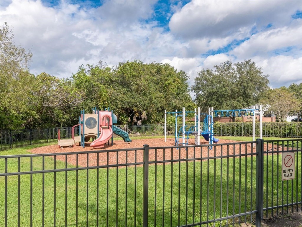 10140 Somersby Drive Riverview FL 33578 TB8454485 image44