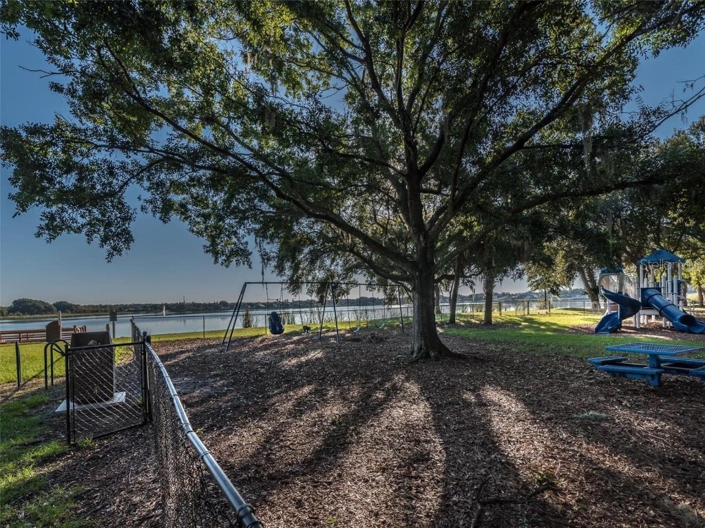 10140 Somersby Drive Riverview FL 33578 TB8454485 image46