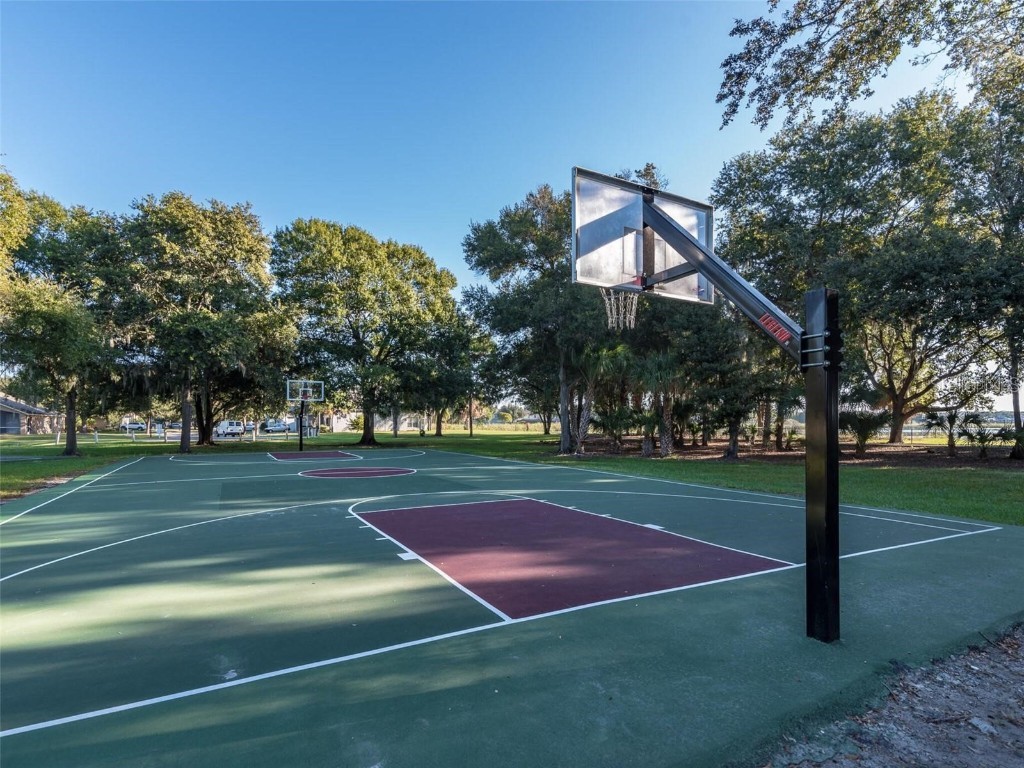 10140 Somersby Drive Riverview FL 33578 TB8454485 image48