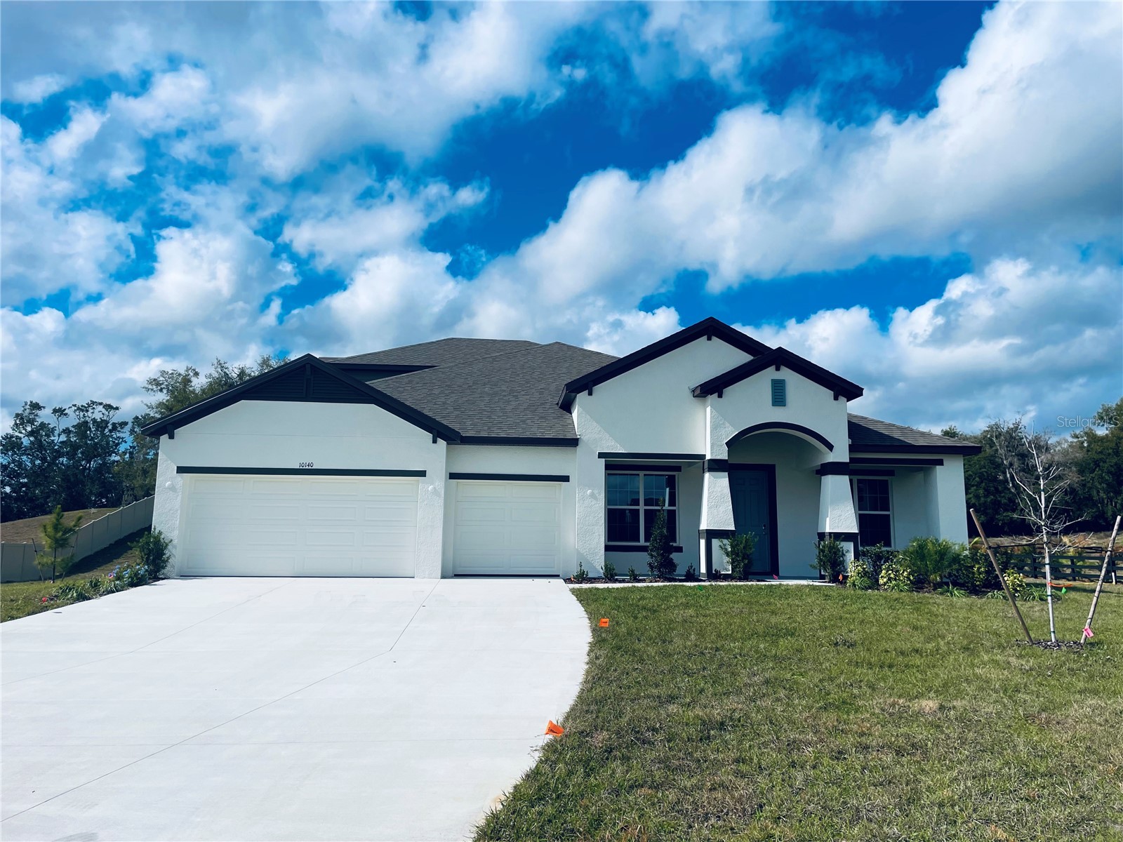 10140 White Magnolia Square Thonotosassa FL 33592 O6369092 image1