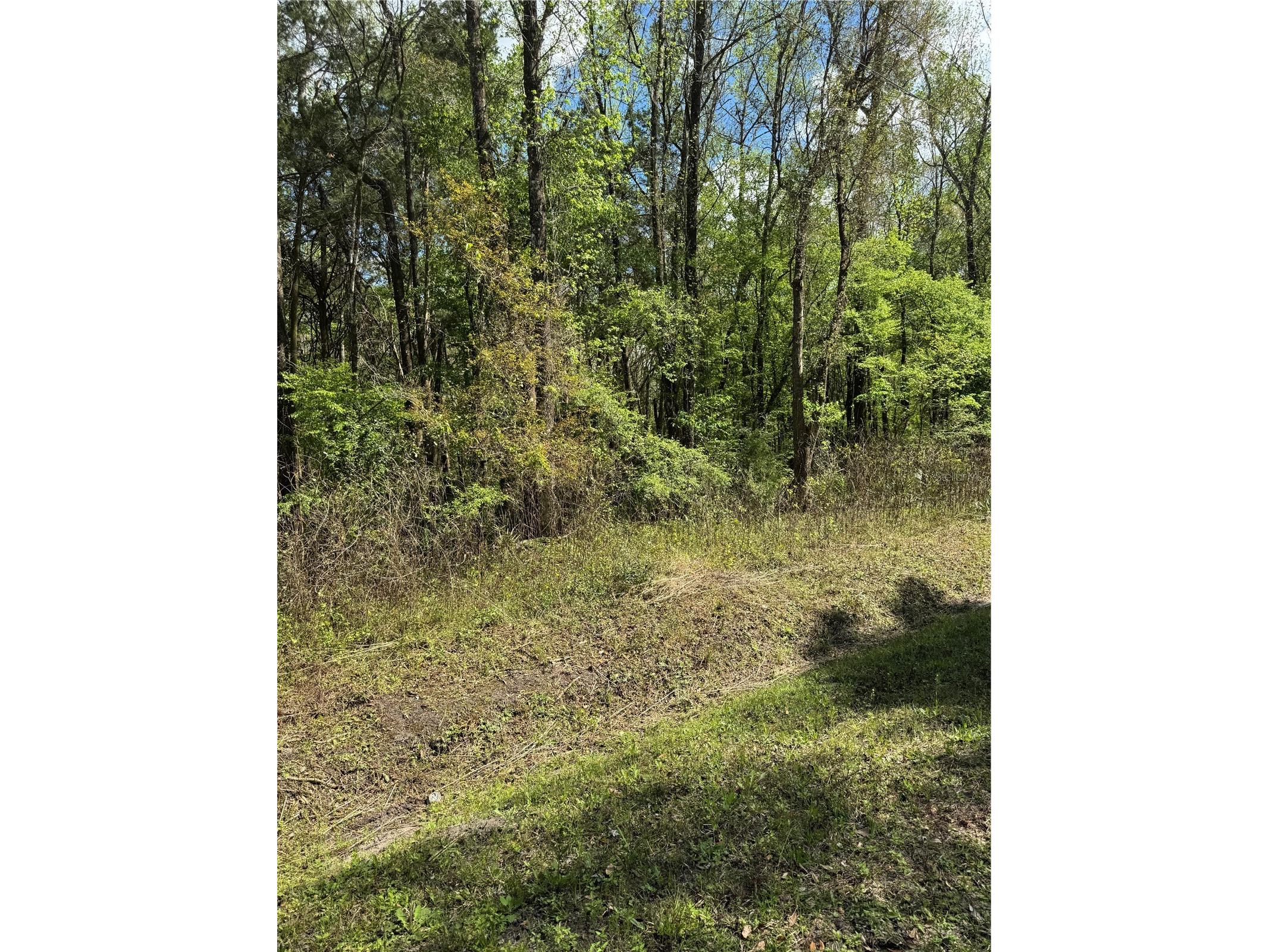 10140 Yeager Avenue Hastings FL 32145 FC316763 image1