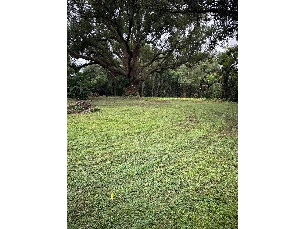 10141 Connerly Road Dade City FL 33525 TB8339428 image1