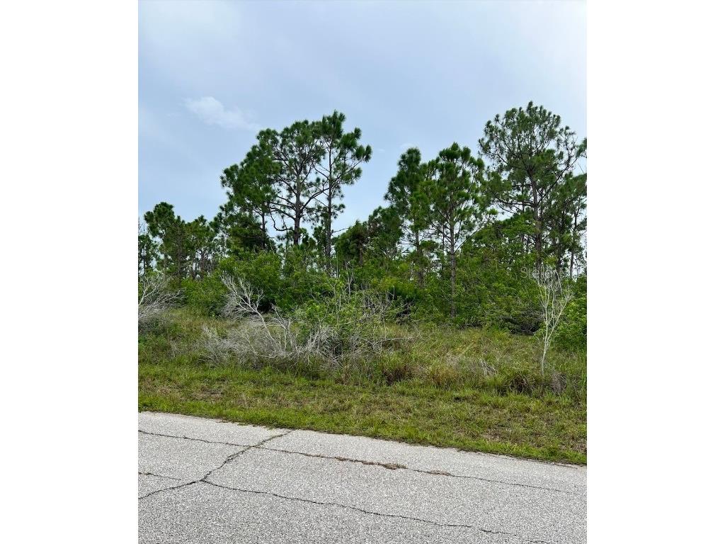 10141 La Grange Court Port Charlotte FL 33981 C7479611 image1