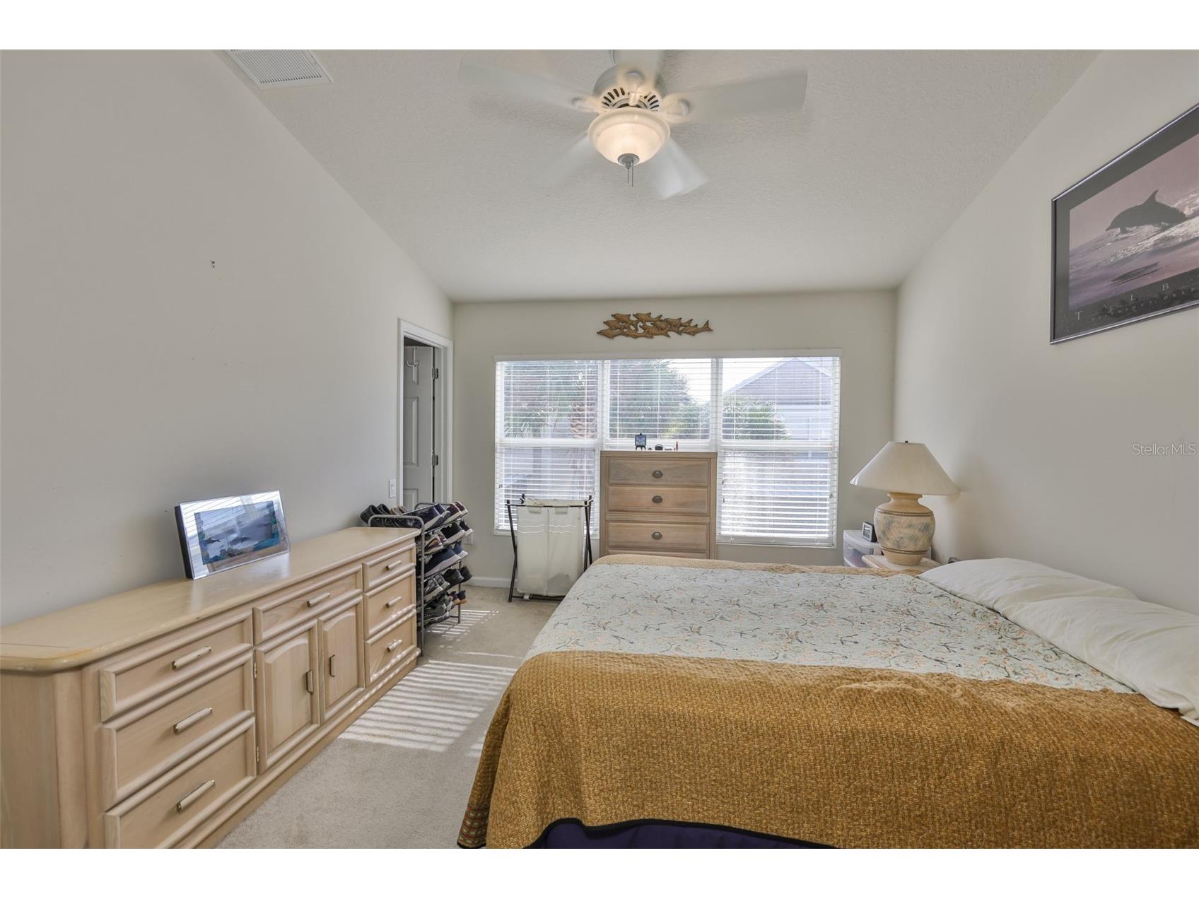 10141 Post Harvest Drive Riverview FL 33578 TB8453293 image17