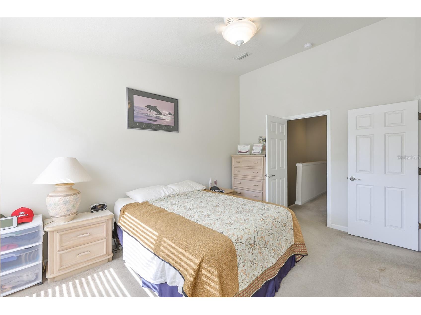 10141 Post Harvest Drive Riverview FL 33578 TB8453293 image18