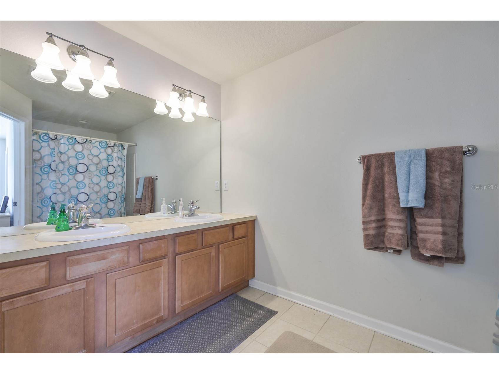 10141 Post Harvest Drive Riverview FL 33578 TB8453293 image20
