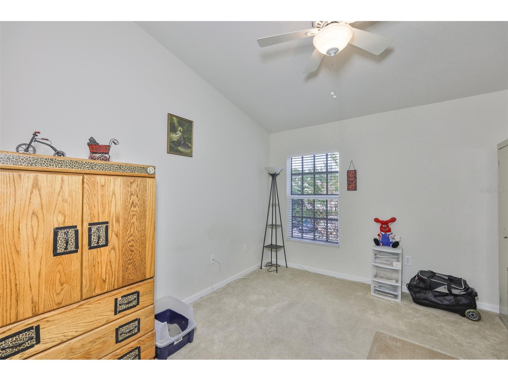 10141 Post Harvest Drive Riverview FL 33578 TB8453293 image26