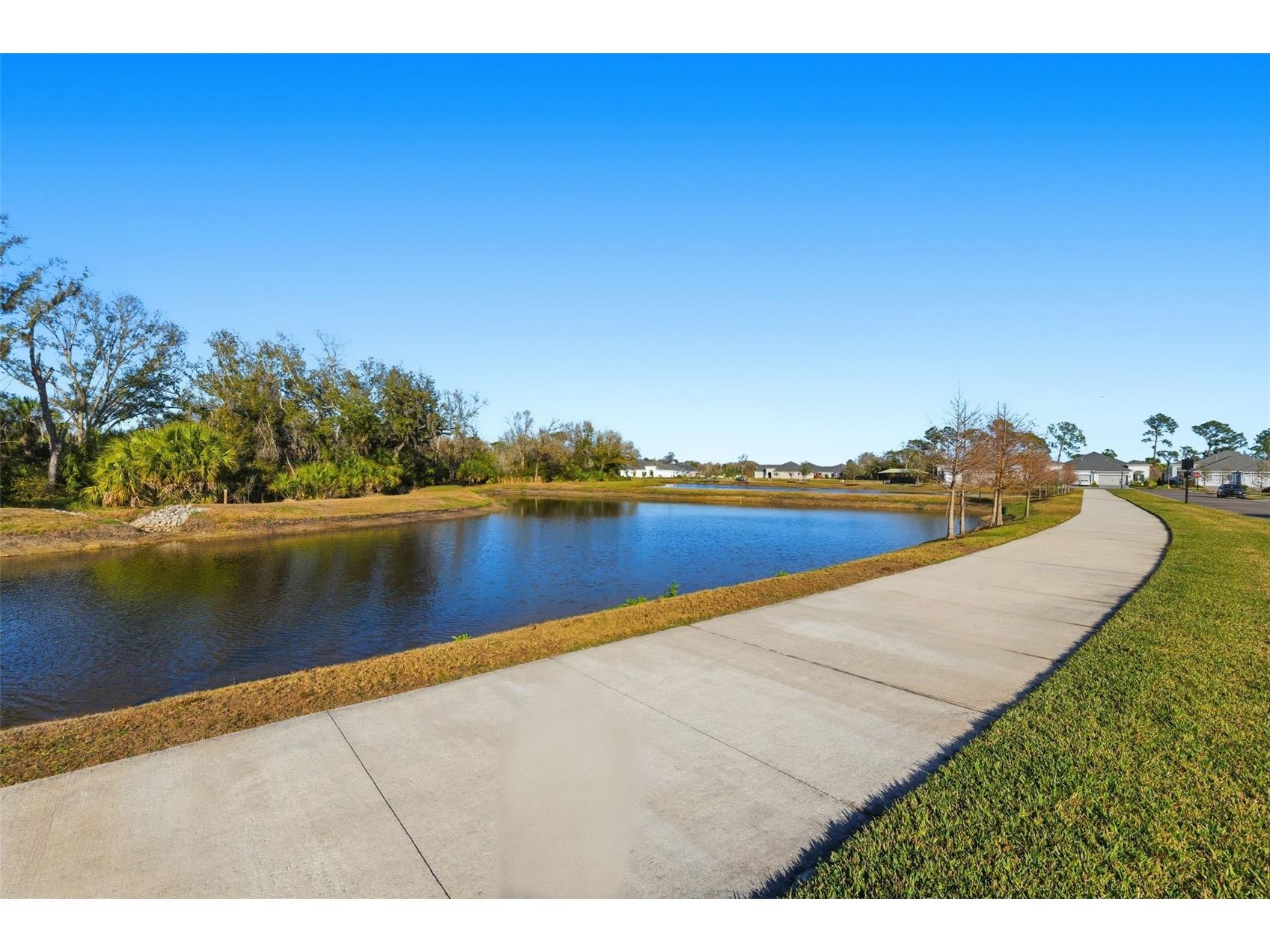10141 Spruce River Way Parrish FL 34219 TB8477432 image39