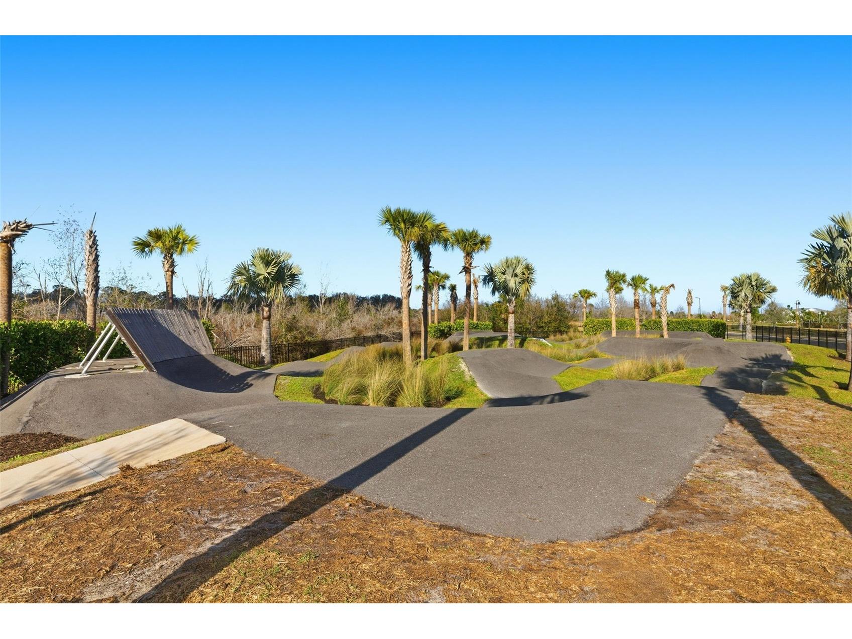 10141 Spruce River Way Parrish FL 34219 TB8477432 image47
