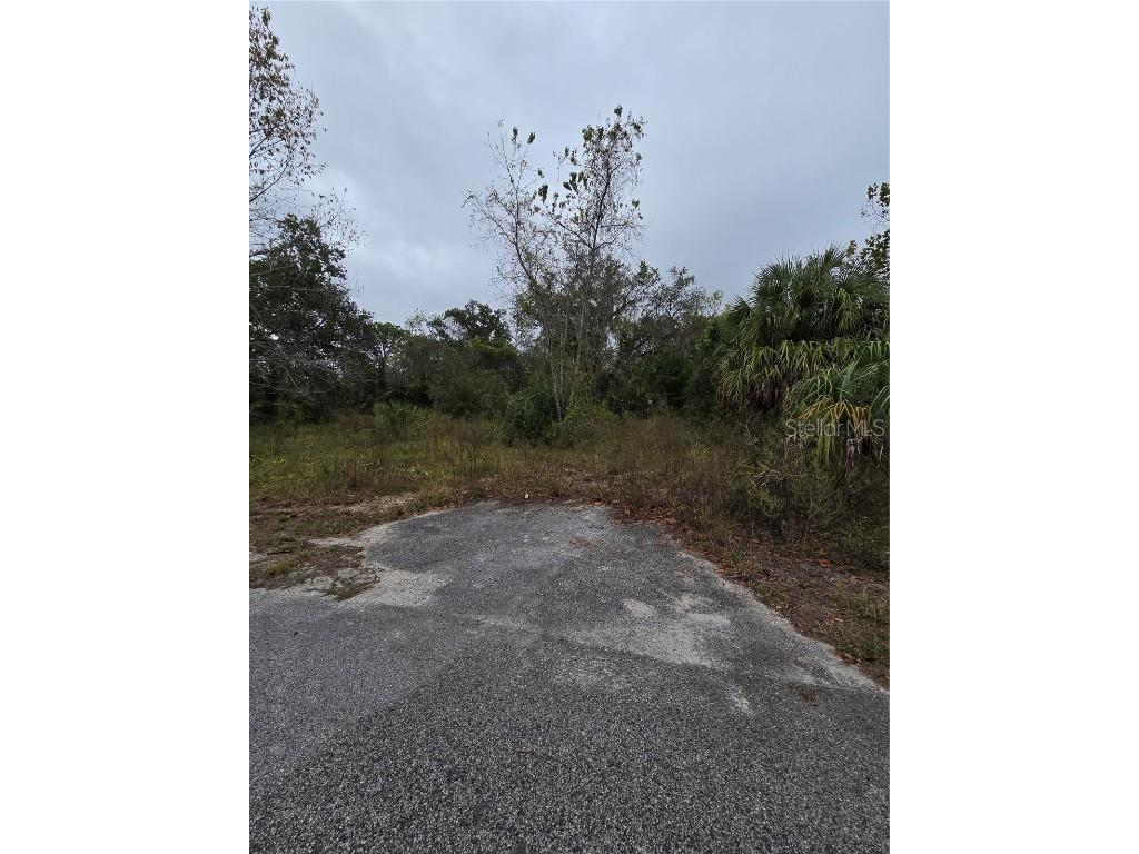 10142 Markham Street New Port Richey FL 34654 TB8453684 image1