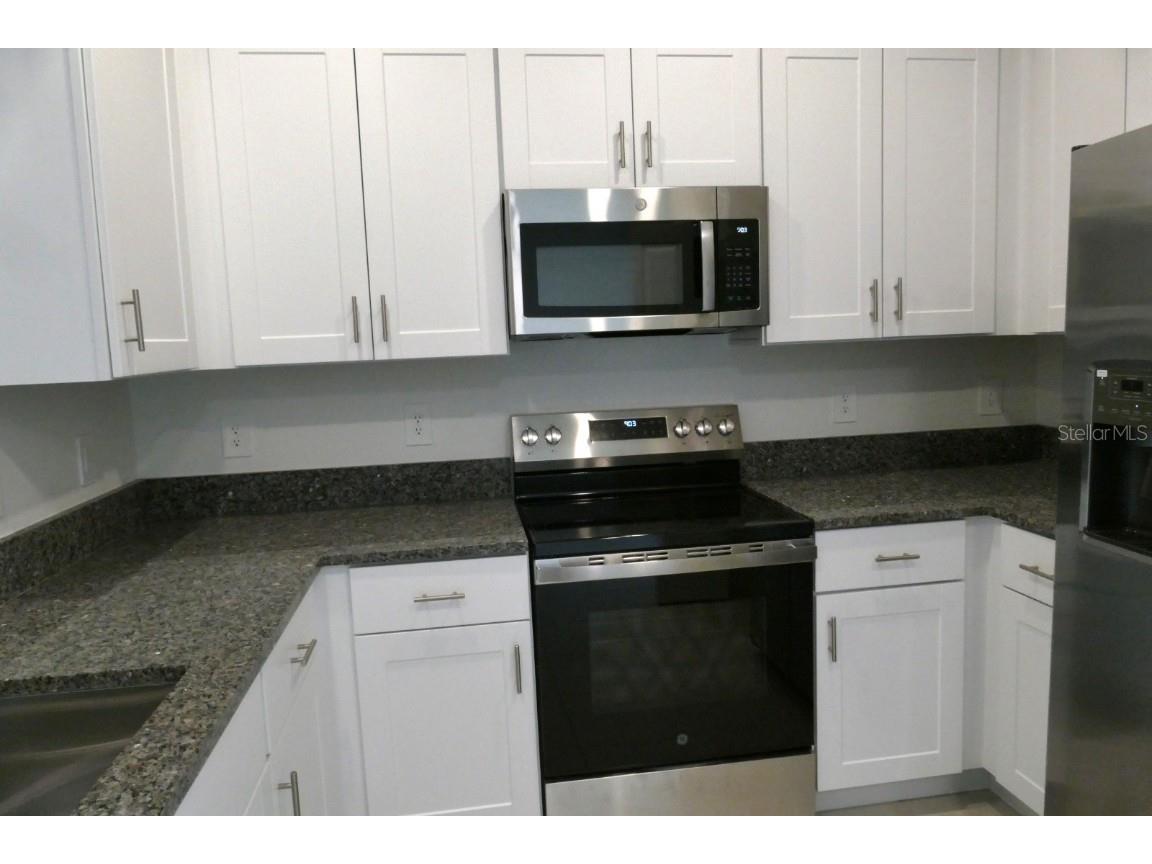 10143 Honey Hammock Way San Antonio FL 33576 TB8461736 image6