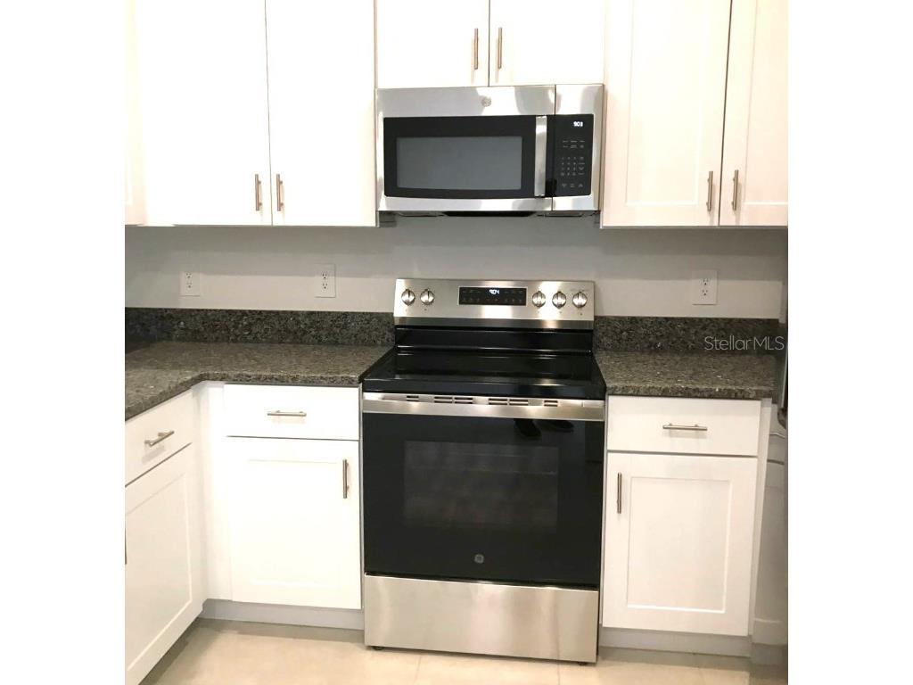 10143 Honey Hammock Way San Antonio FL 33576 TB8461736 image7