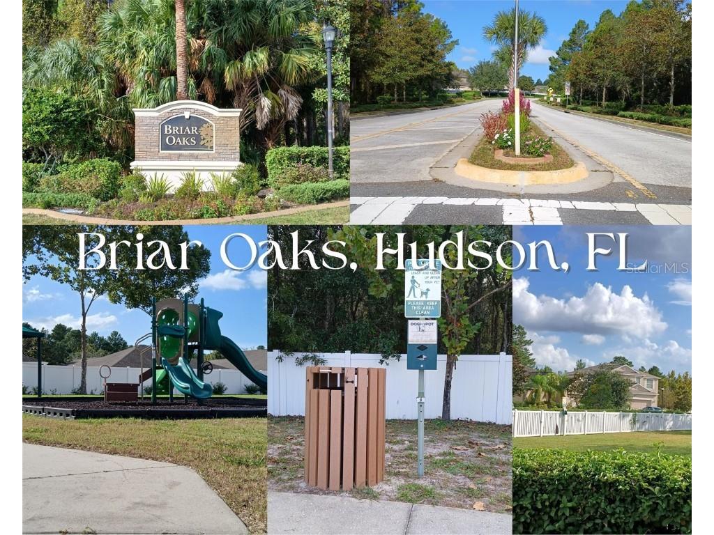 10143 Tolman Drive Hudson FL 34667 W7877866 image52