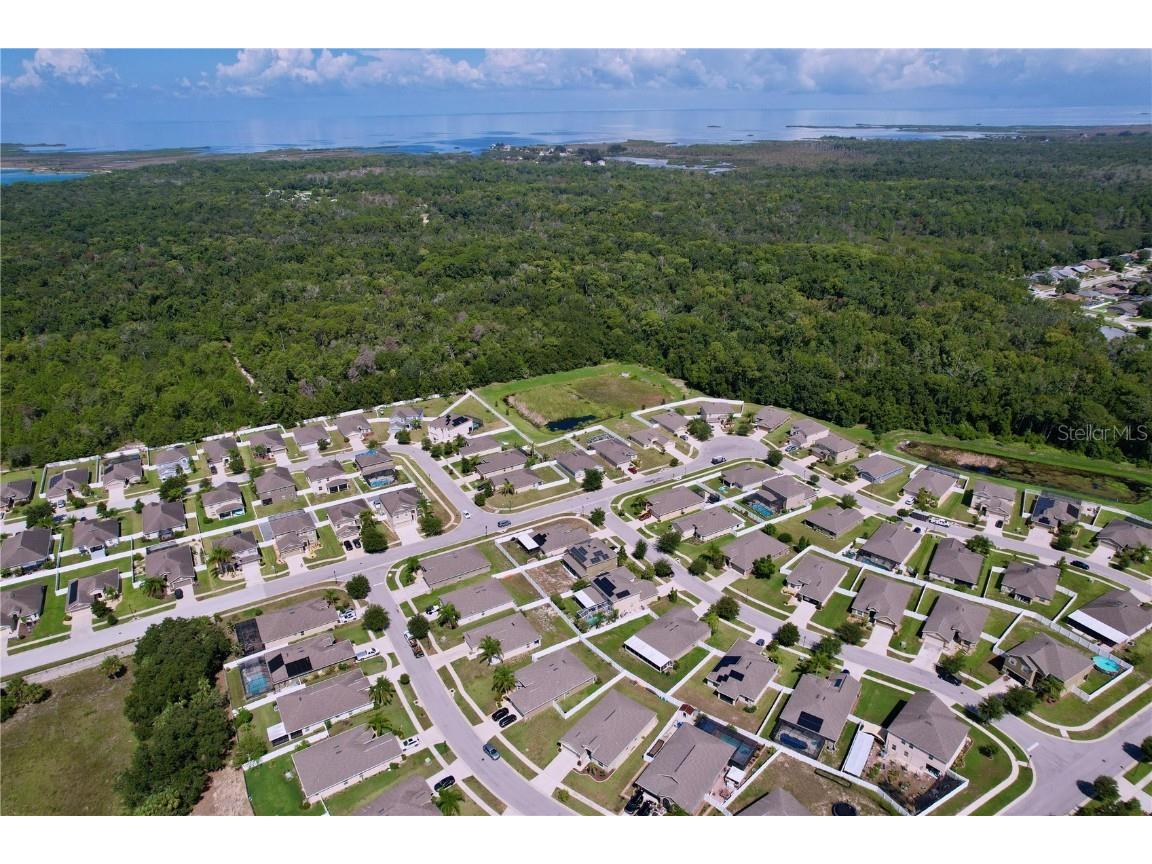 10143 Tolman Drive Hudson FL 34667 W7877866 image59