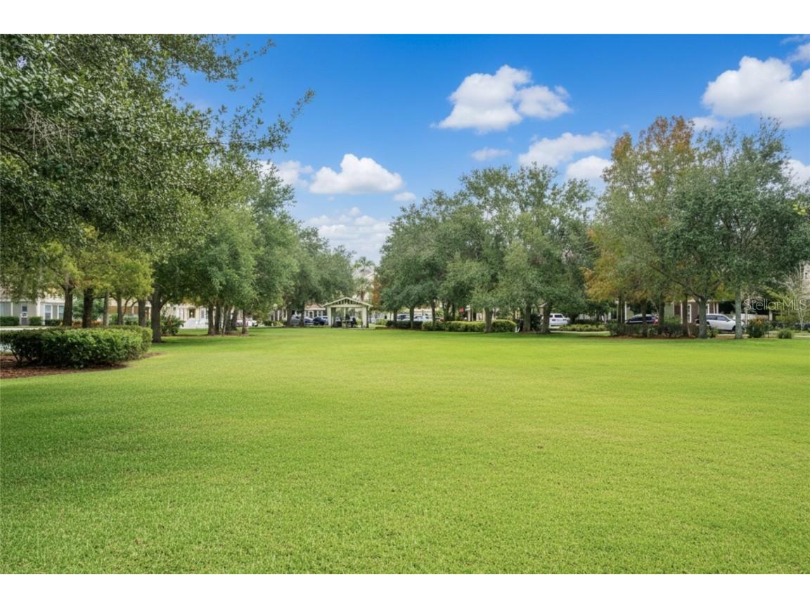 10144 Arbor Run Drive #31 Tampa FL 33647 TB8456401 image27