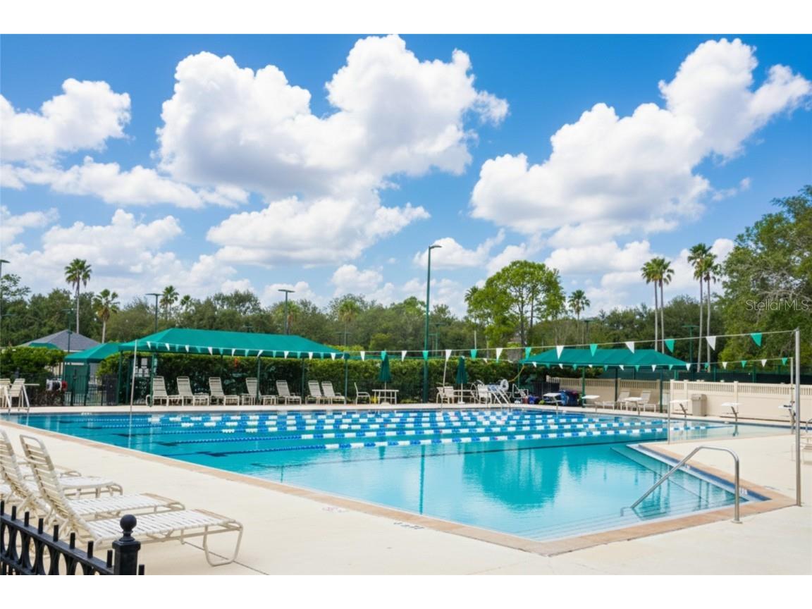 10144 Arbor Run Drive #31 Tampa FL 33647 TB8456401 image29