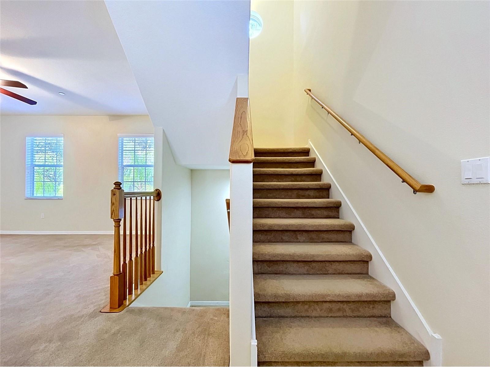 10144 Arbor Run Drive #31 Tampa FL 33647 TB8505098 image17