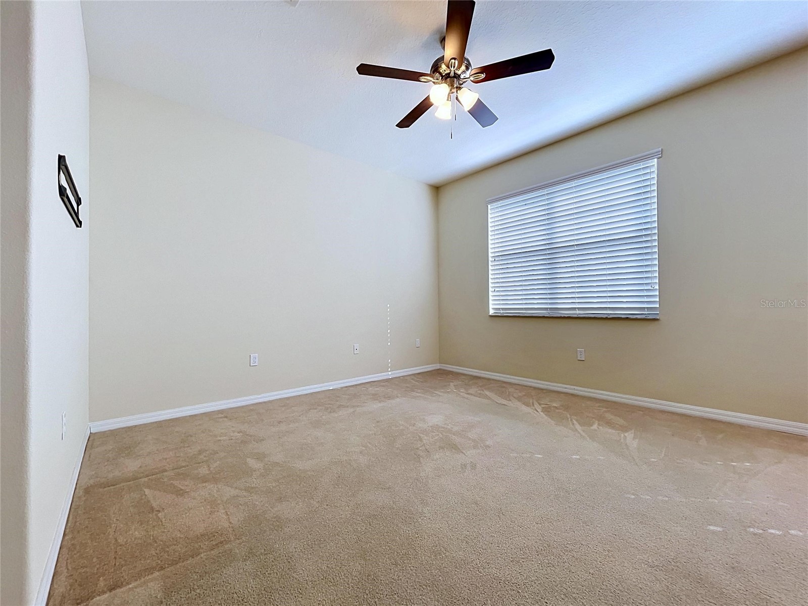 10144 Arbor Run Drive #31 Tampa FL 33647 TB8505098 image38