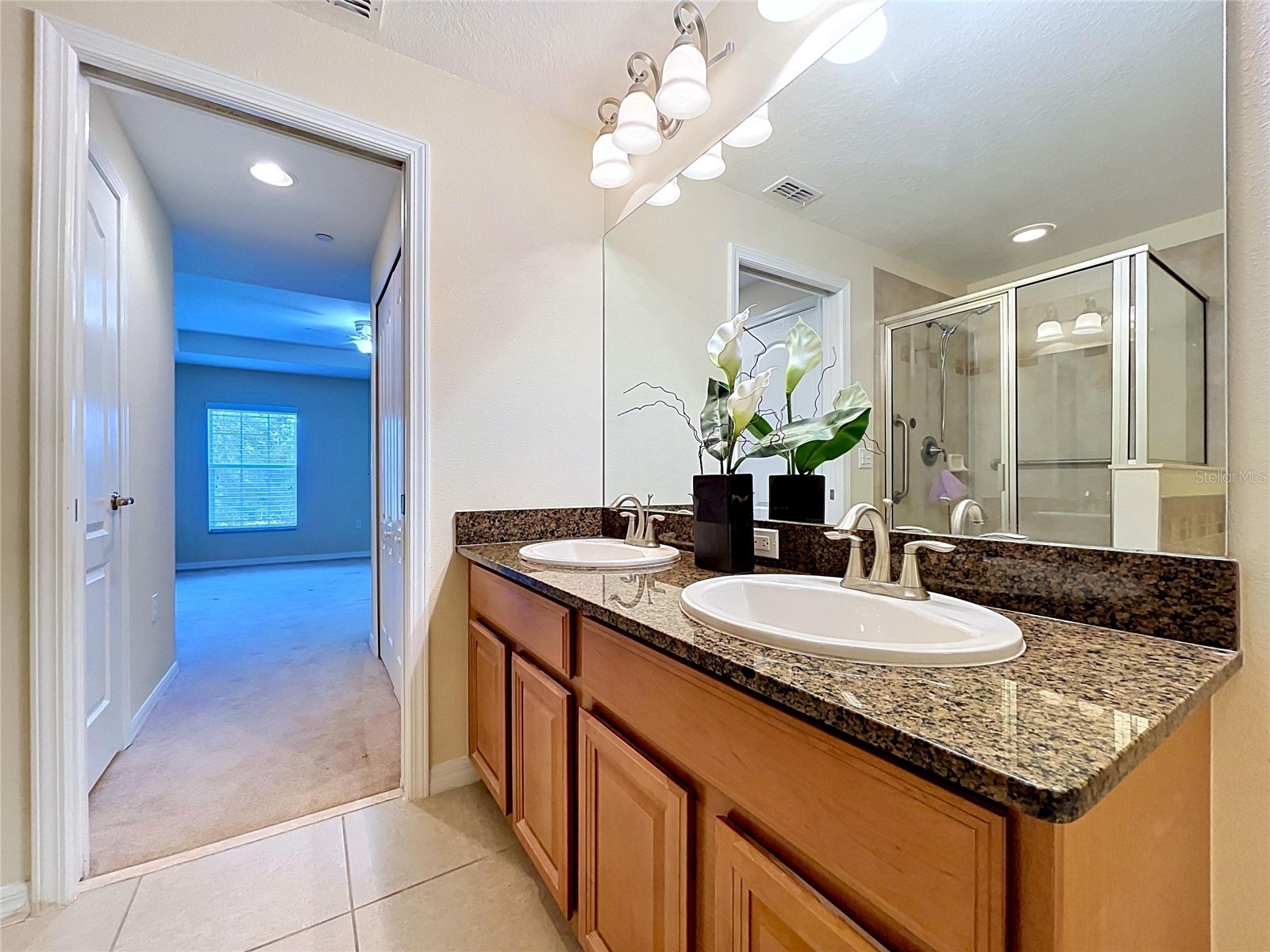 10144 Arbor Run Drive #31 Tampa FL 33647 TB8505098 image48