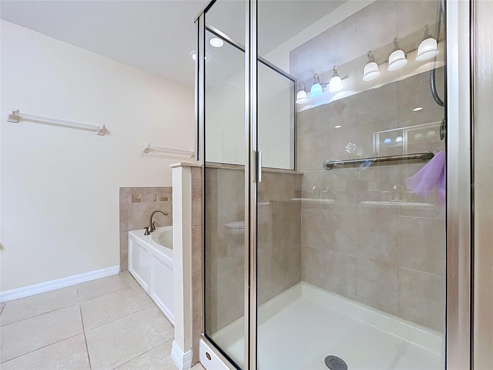 10144 Arbor Run Drive #31 Tampa FL 33647 TB8505098 image49
