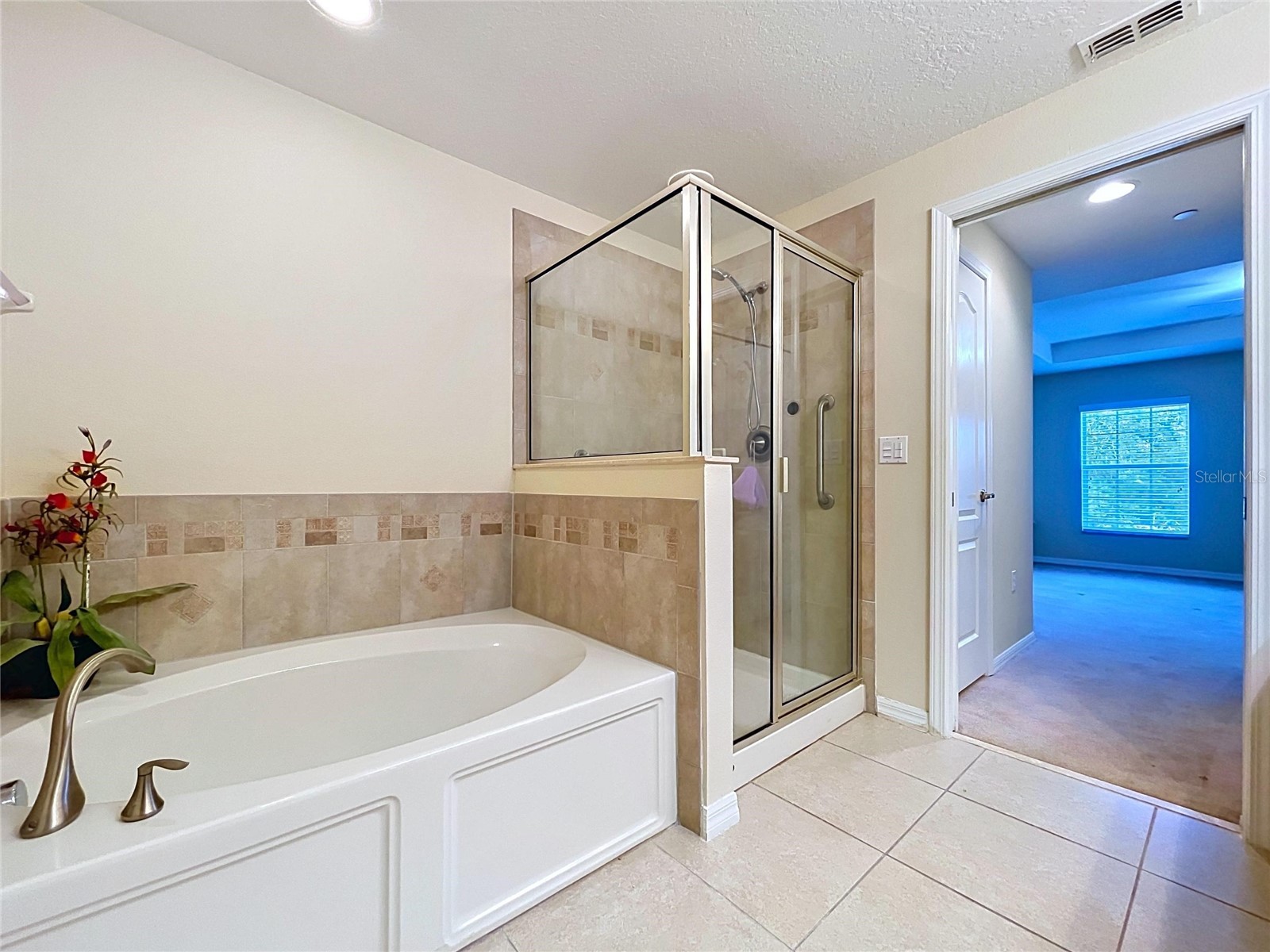 10144 Arbor Run Drive #31 Tampa FL 33647 TB8505098 image50