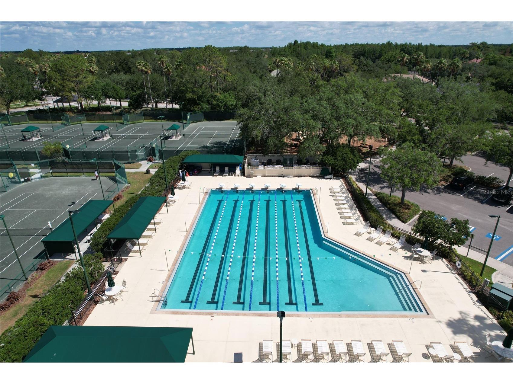 10144 Arbor Run Drive #31 Tampa FL 33647 TB8505098 image76