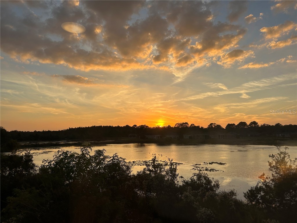 10144 Arbor Run Drive #70 Tampa FL 33647 TB8444671 image1