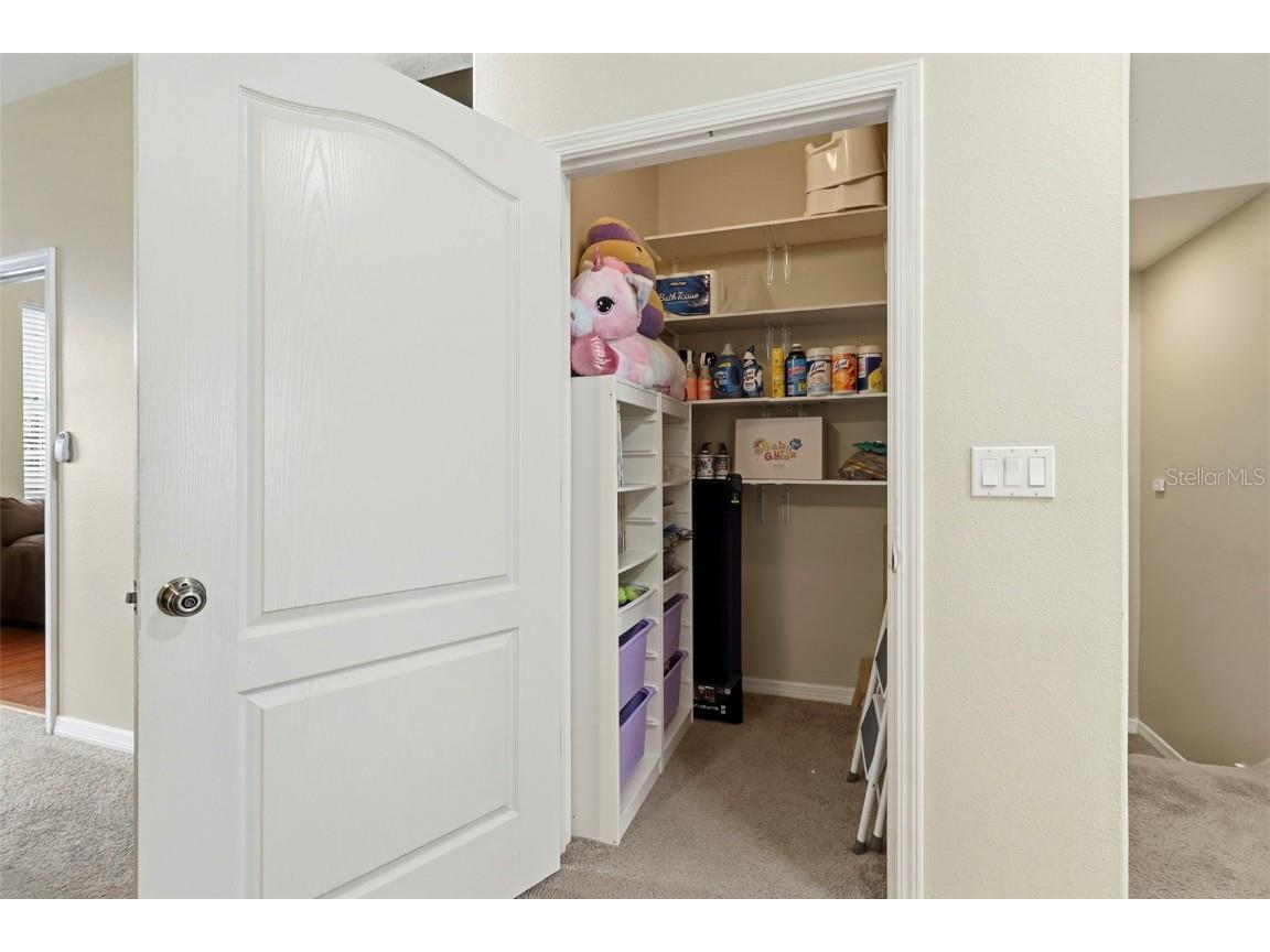 10144 Arbor Run Drive #70 Tampa FL 33647 TB8444671 image19