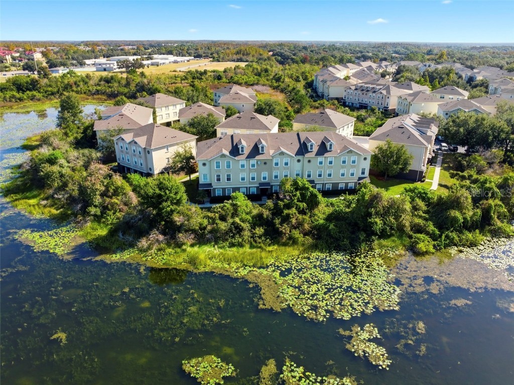 10144 Arbor Run Drive #70 Tampa FL 33647 TB8444671 image38