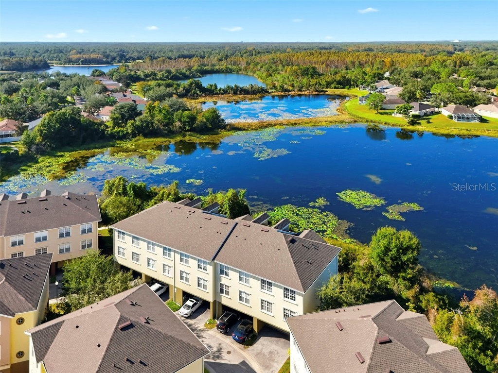 10144 Arbor Run Drive #70 Tampa FL 33647 TB8444671 image42