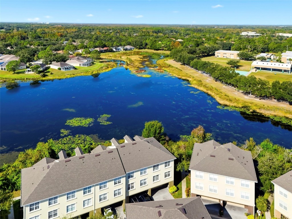 10144 Arbor Run Drive #70 Tampa FL 33647 TB8444671 image43