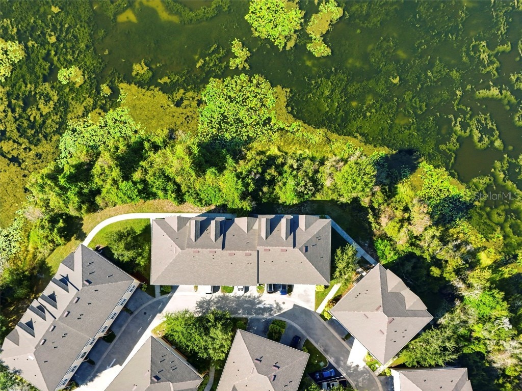 10144 Arbor Run Drive #70 Tampa FL 33647 TB8444671 image44