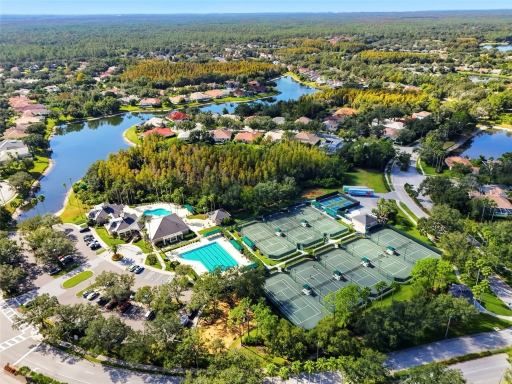 10144 Arbor Run Drive #70 Tampa FL 33647 TB8444671 image45