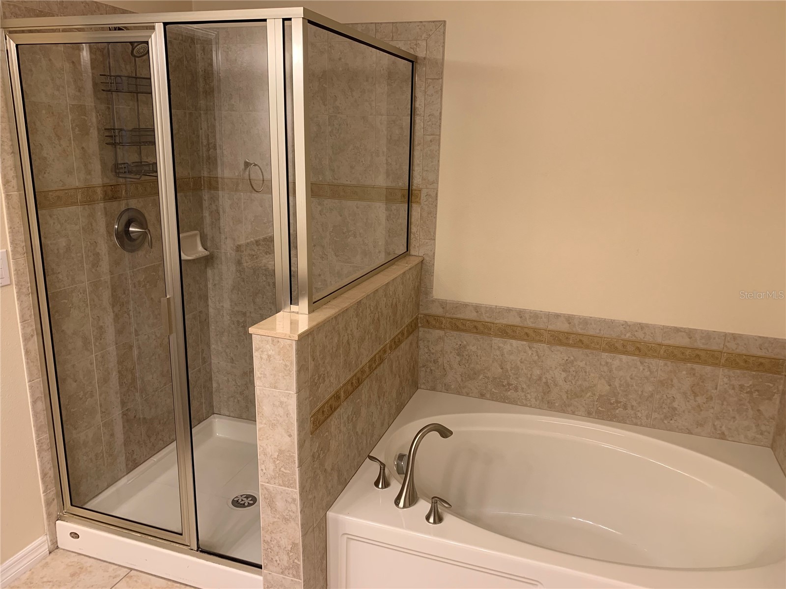 10144 Arbor Run Drive #89 Tampa FL 33647 TB8517281 image11