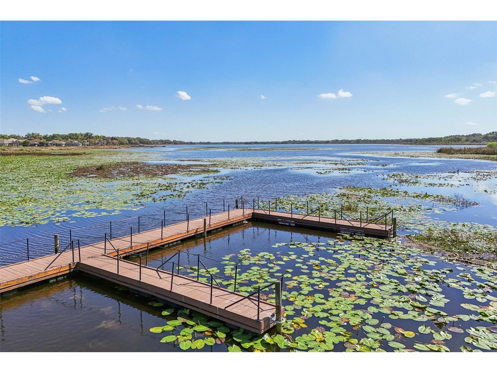 10144 Lake Miona Way Oxford FL 34484 - LAKE MIONA G5109301 image43