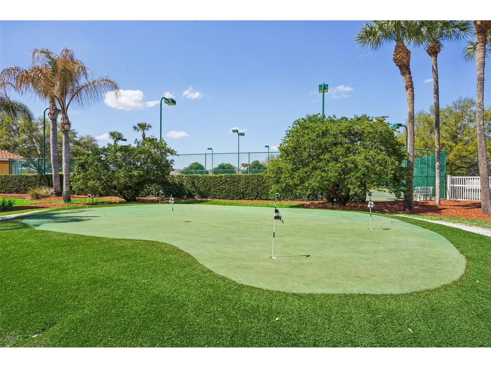 10144 Lake Miona Way Oxford FL 34484 - LAKE MIONA G5109301 image52